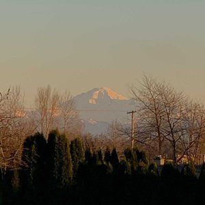 Meet your Posher, Jesse